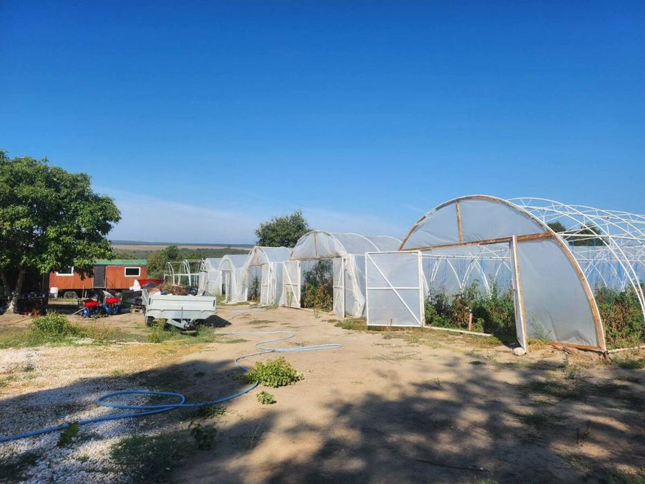 Отлична инвестиционна възможност: Разработен бизнес с оранжерии и