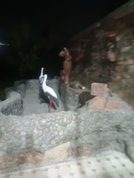 Бобохонова Ирода оморовна