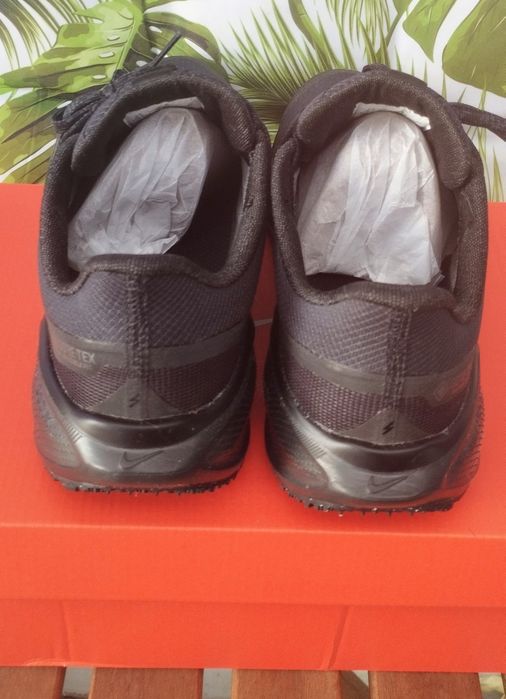 Nike Pegasus Gore-tex 40