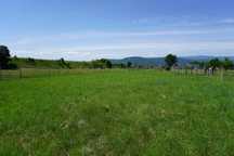 Teren de vanzare Sighet (Cămara)