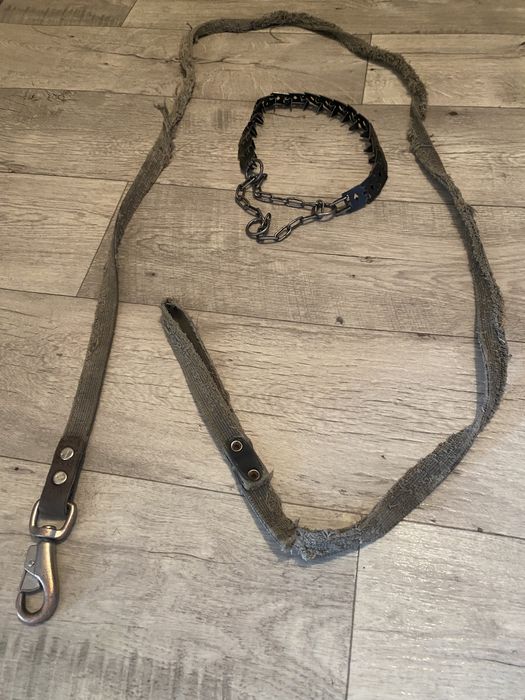 Ошейник + поводок для больших собак