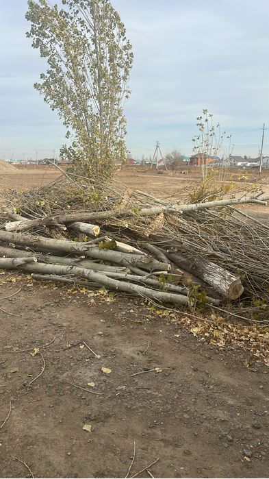 Дрова бесплатно