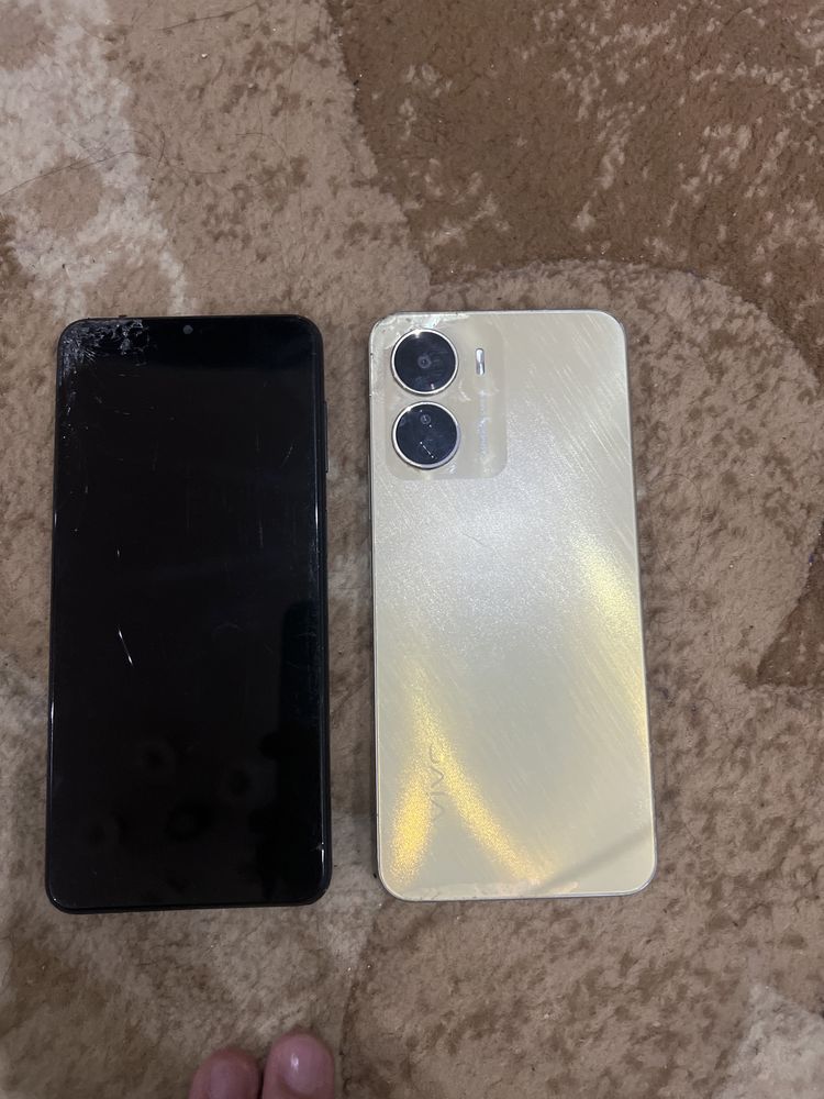 Vivo 16.