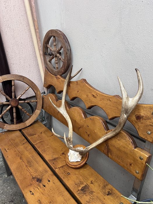 Vand trofeu de cerb!