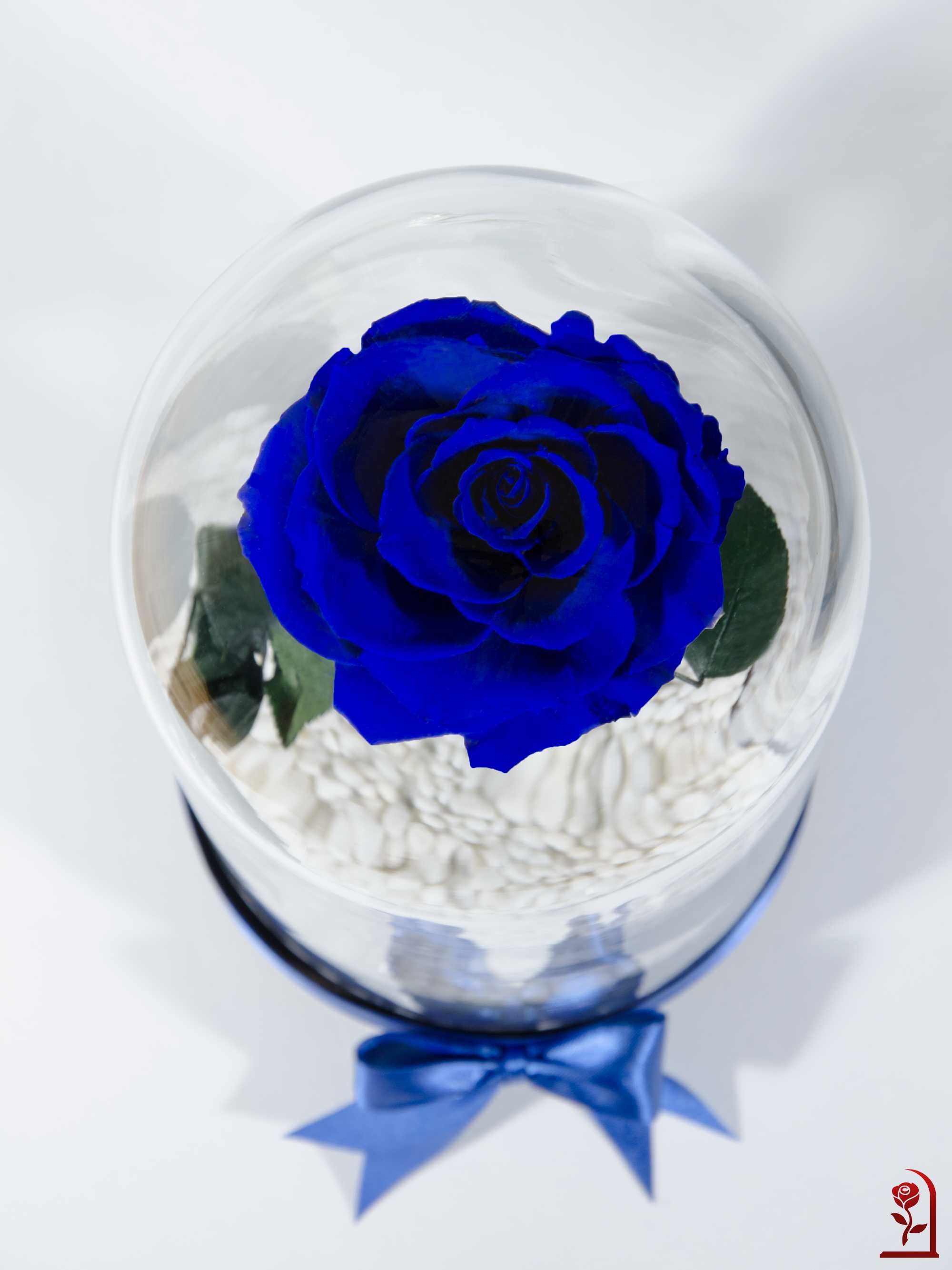 Синя Вечна Роза в ГОЛЯМА Стъкленица / Красив Подарък за Годишнина