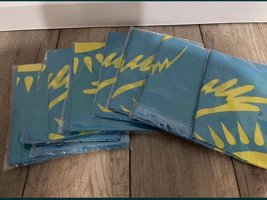 Флаг Ту Жалау Казакстан