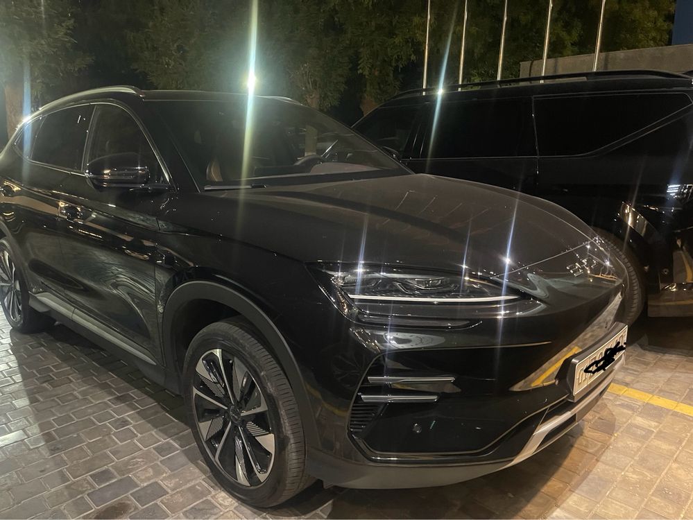 BYD Chempion Smart 2025.   еил янни мошина