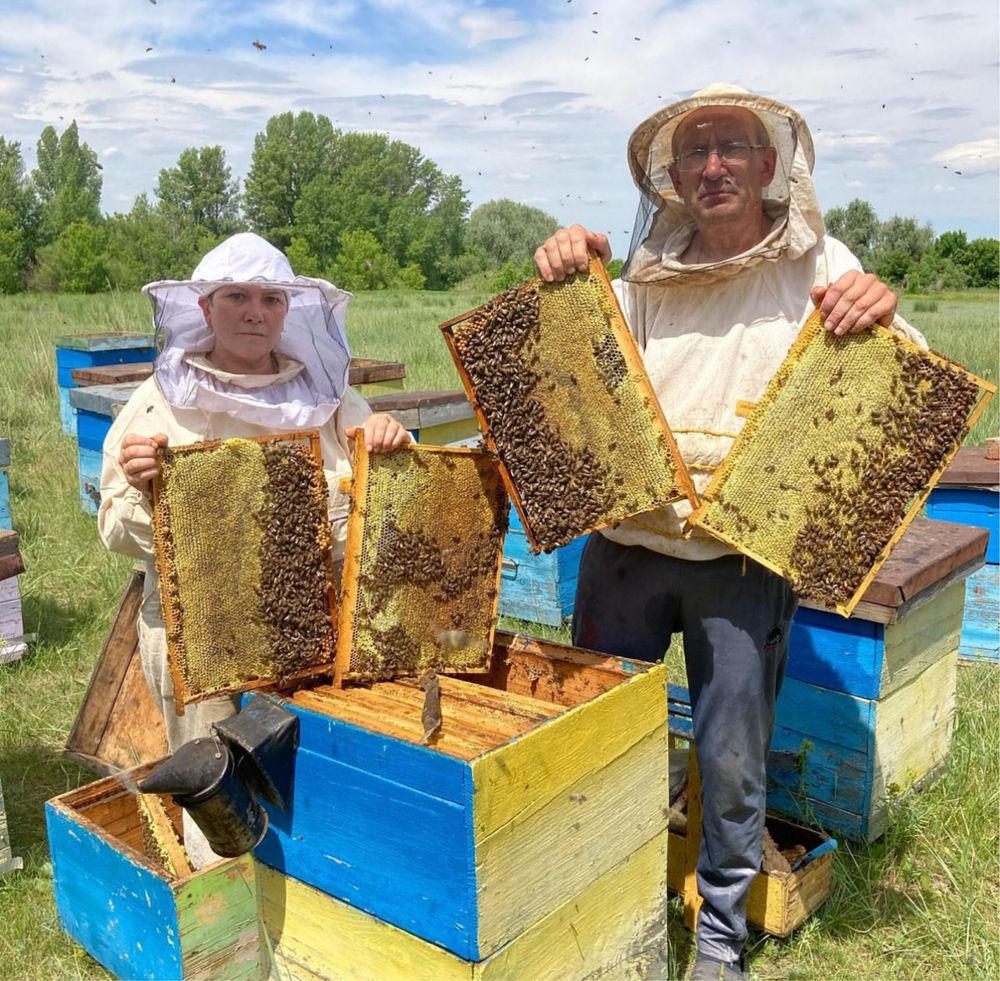 Продажа натурального мёда с собственной пасеки