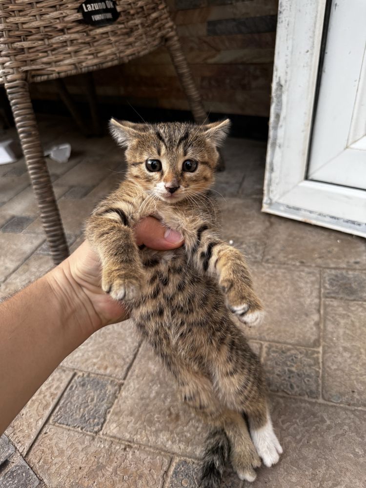 5 ta zotdor mukush bolalari