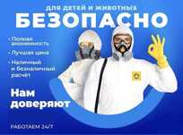 Дезинфекция тараканов ос крыс муравьев клопов кандала мышь дизенфекция