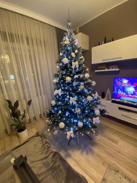 Brad de Crăciun toată zona cluj