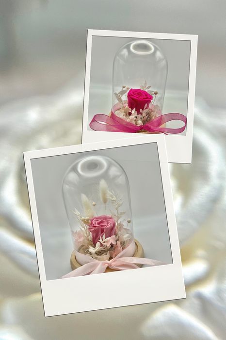 Trandafir criogenat in cupola