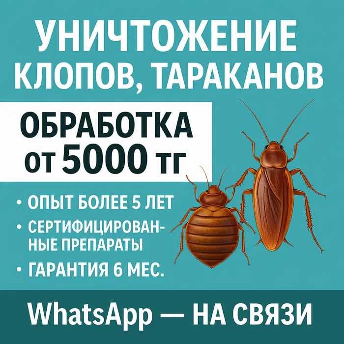 Дизенфекция кочество и гарантия