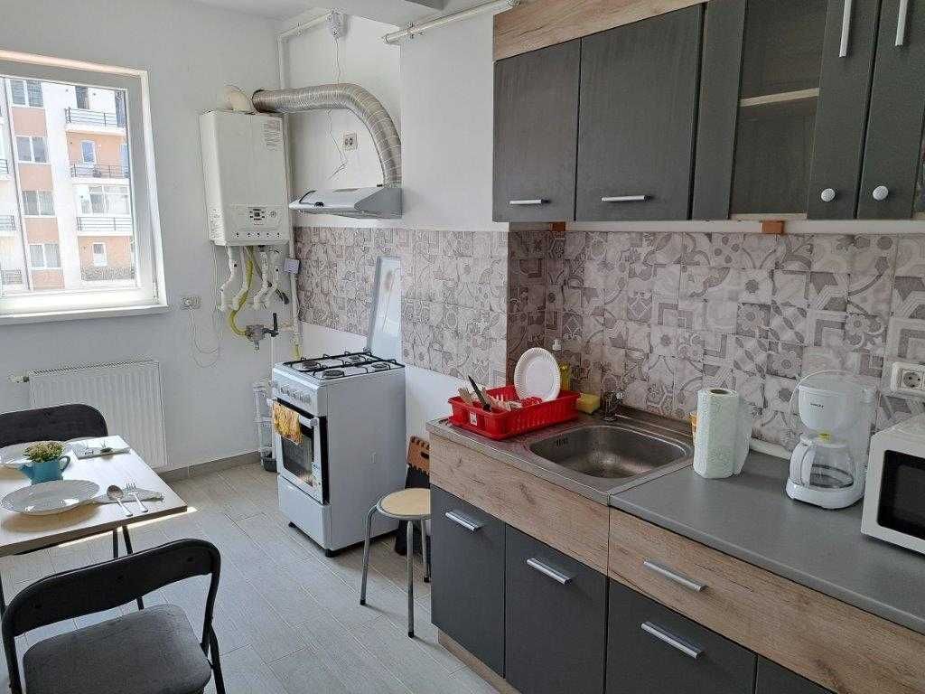 Inchiriez garsoniera Tineretului, Proprietar