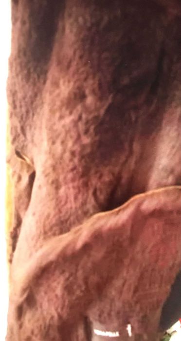 Cojoc cu blana naturala  vizon piele naturala