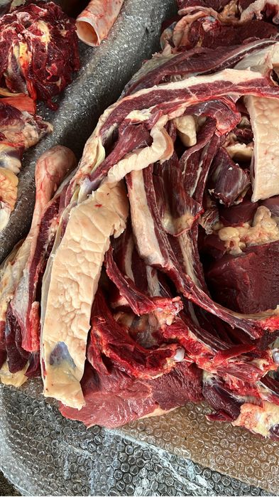 Конина согым на заказ