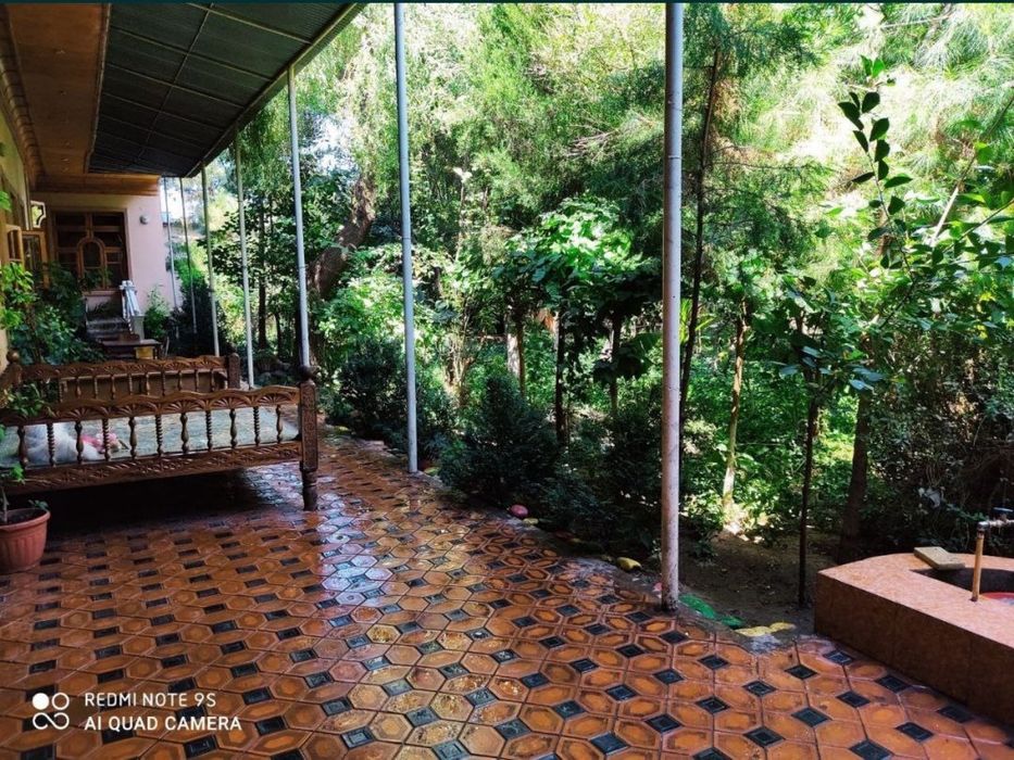 toshkent shaxar olmazor tumanida 10 sotikli fayzli honadon sotiladi