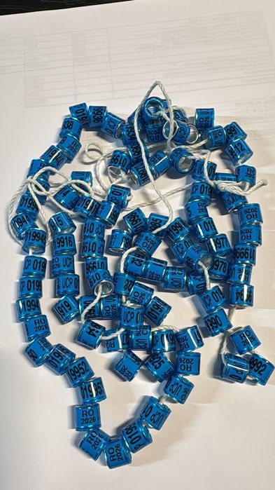 Inele porumbei 2026 cu talon