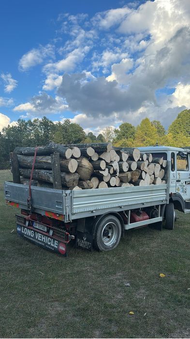 Lemne de fic esenta tare