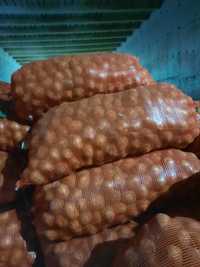 Продам семена картофеля Гала