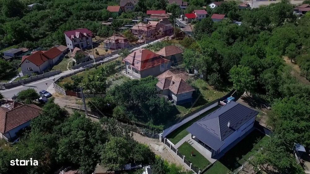 Casa cu gradina de vanzare in Copaceni