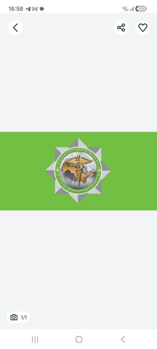 Декларант импорт экспорт расмийлаштирув хизматлари