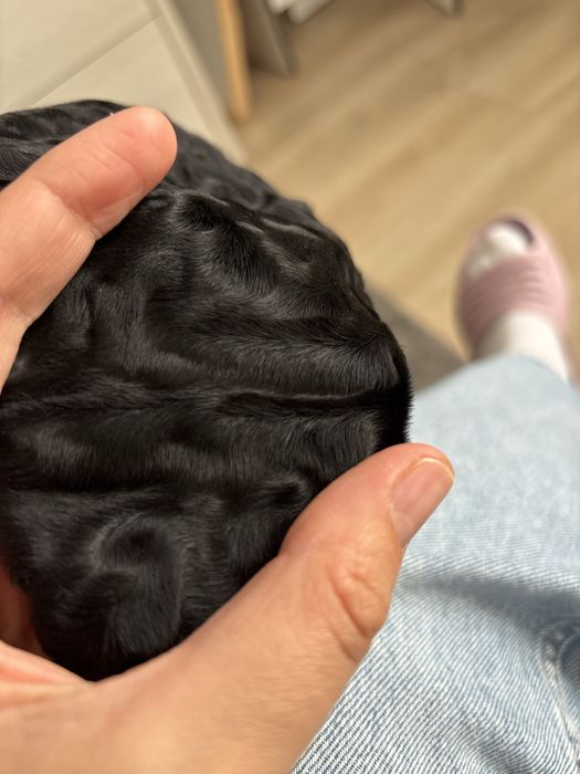 Bereta blana naturala