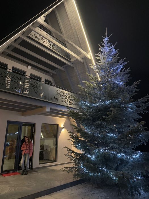 Inchiriez cabana de căciun si revelion