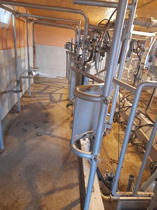 Vând sală de muls  6 capete
