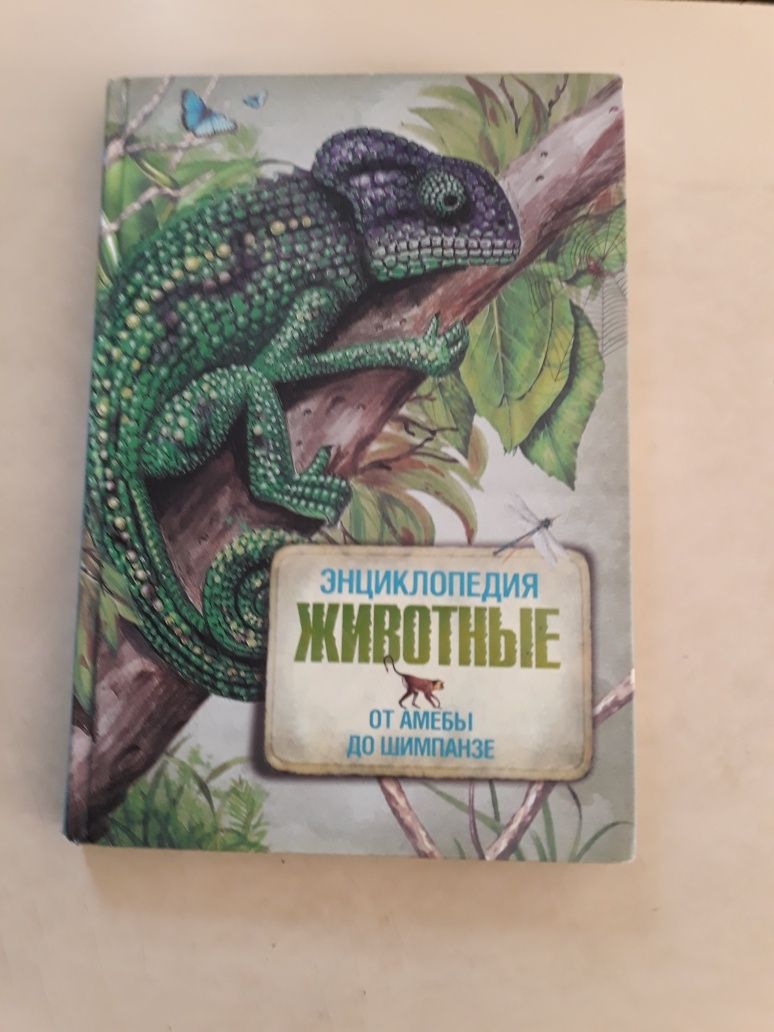 Удивительные, интересные книги в продаже