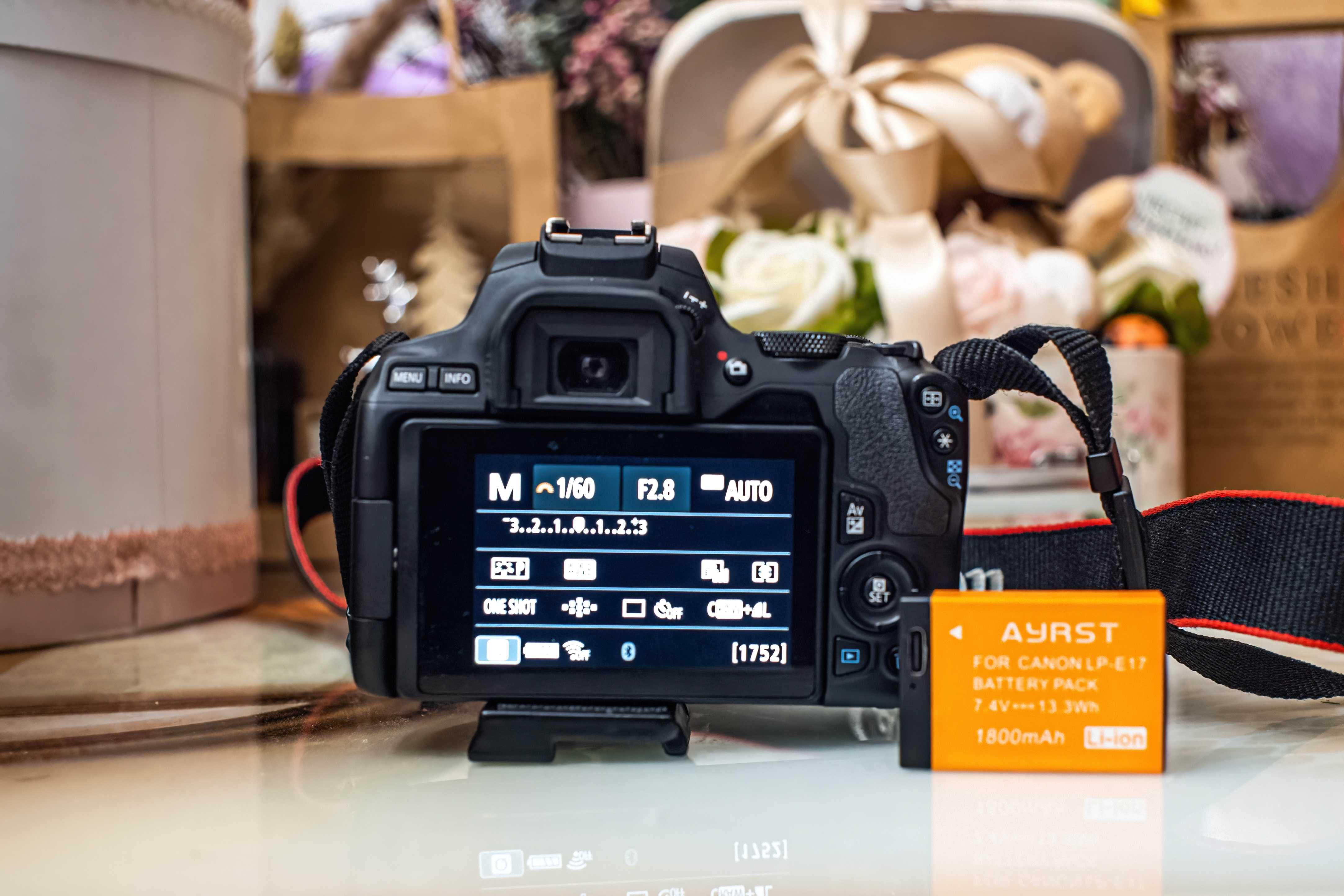 Canon 250D/ Sigma 17-50 2.8/Canon 50 1.8/Speedlite 430 II
