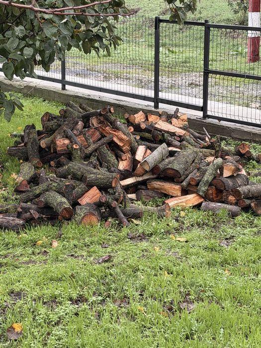 Vand 6 mc lemne taiate si sparte