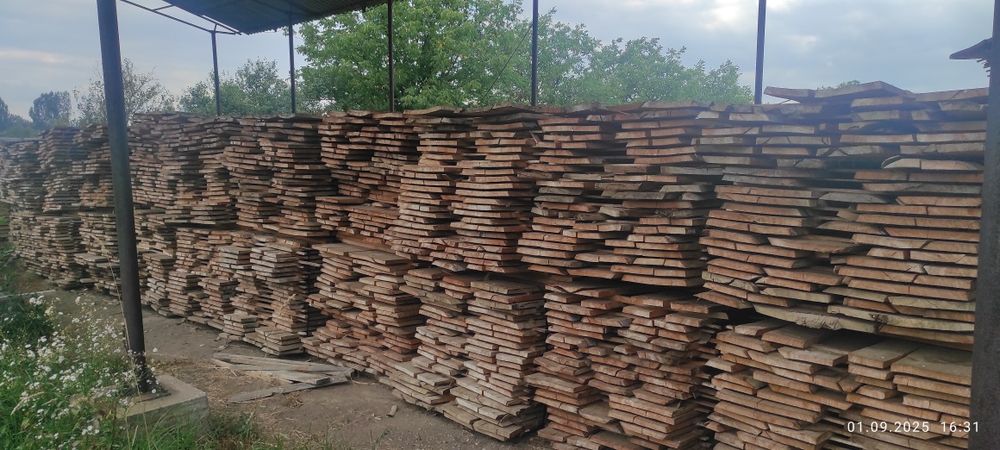 Cherestea netivită fag