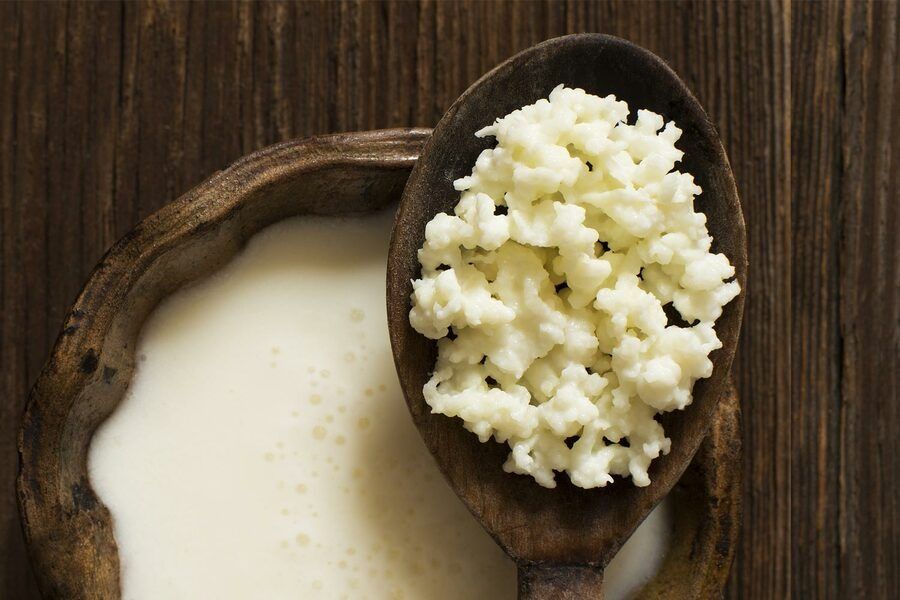 Ciuperca tibetana și japoneza, pentru kefir de lapte și kefir de apă