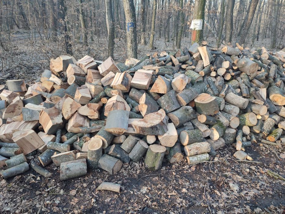 Lemne pentru foc esență tare carpen și cireș