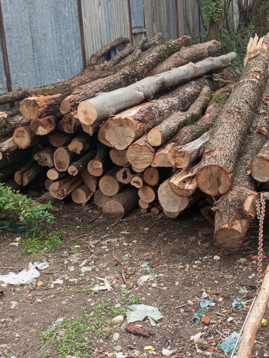 Lemne de foc esență de fag stejar