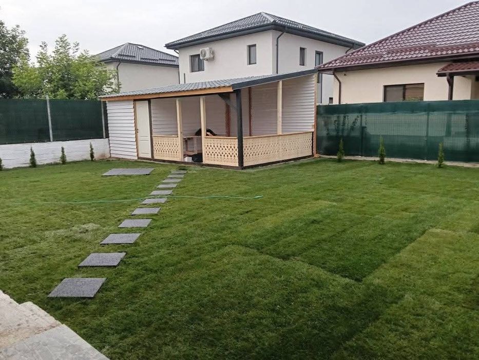 Amenajăm curți gazon rulou sport