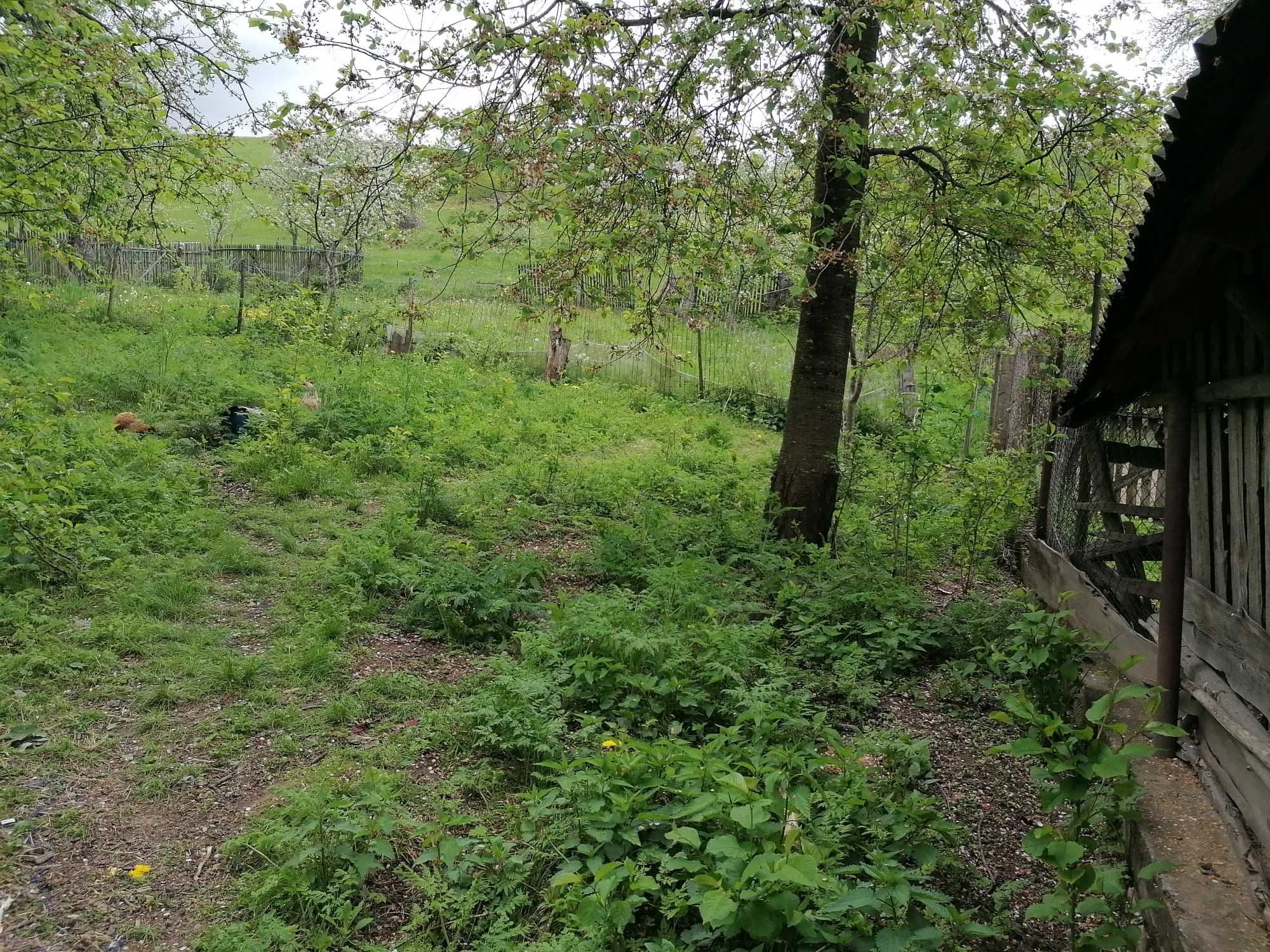 Casa de vânzare la Munte sat.Giulesti "Beius"1km de pestera urșilor.