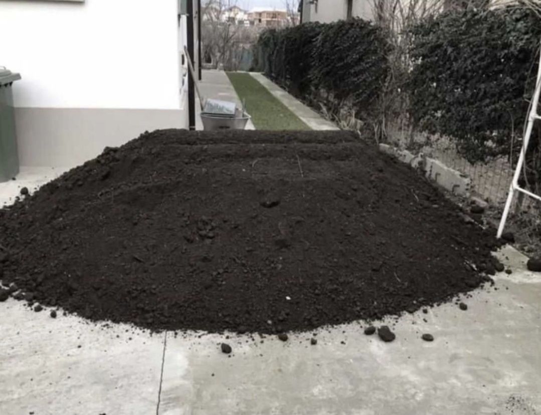 Pamant vegetal padure