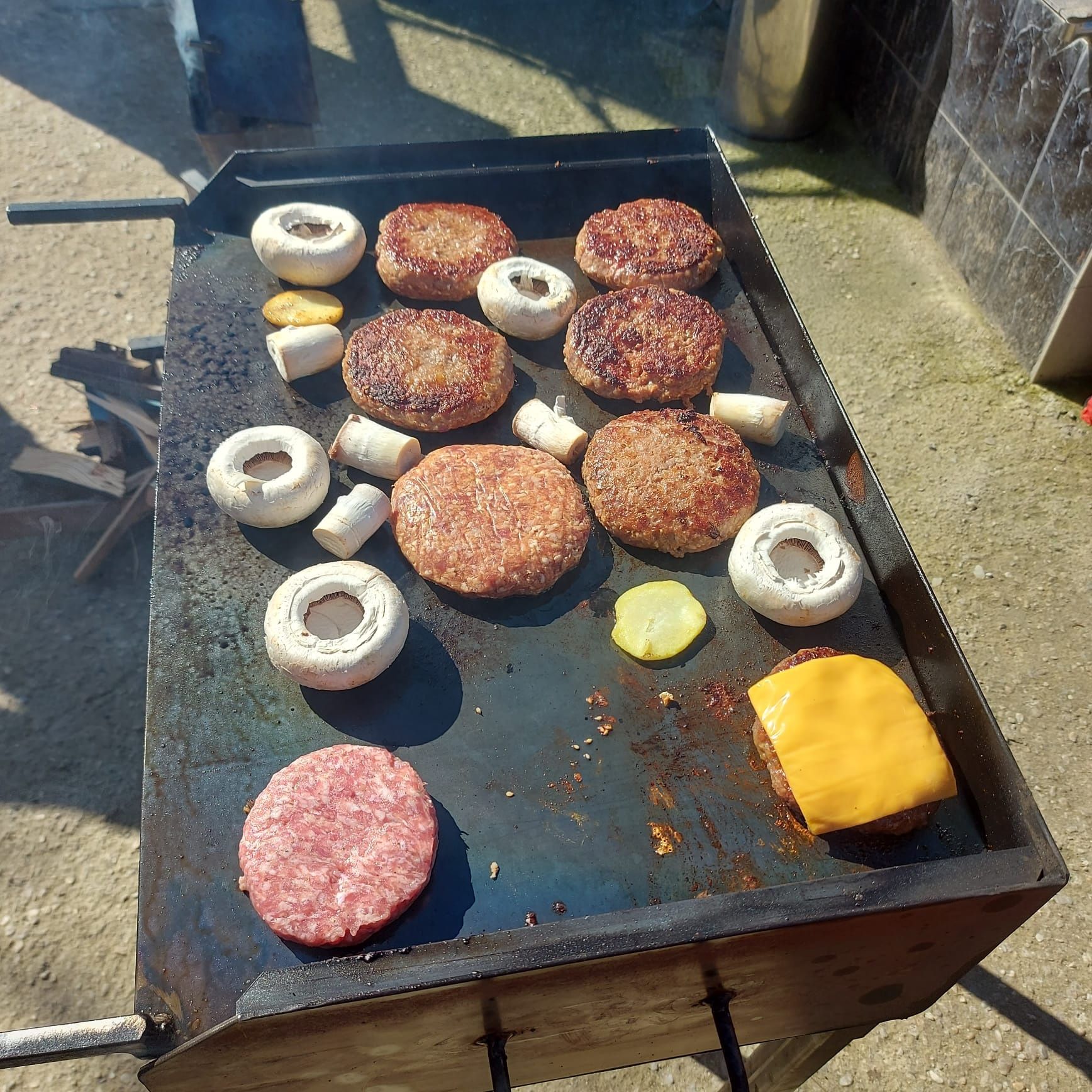 Plita pentru fripturi de peste, legume, carne!!