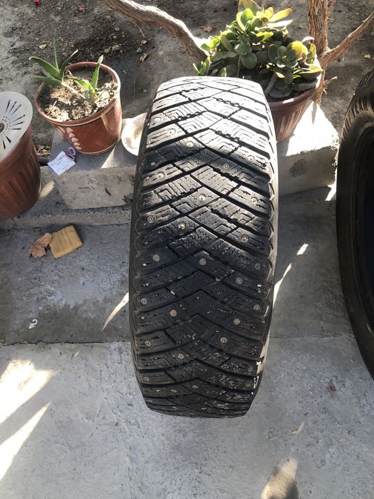 Қишки баллонлар  трекер киа карнивал ва бошқа