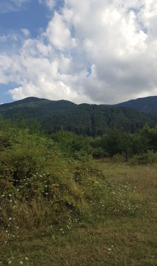 Продава се Парцел в Сапарева баня - 719 кв.м за 82 €/кв.м - Снимка #4