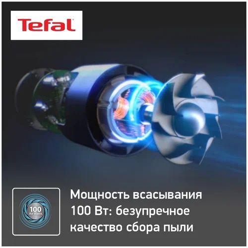 Tefal made in France вертикальный пылесос без проводной рекомендую