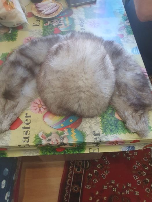 Căciulă și guler blană