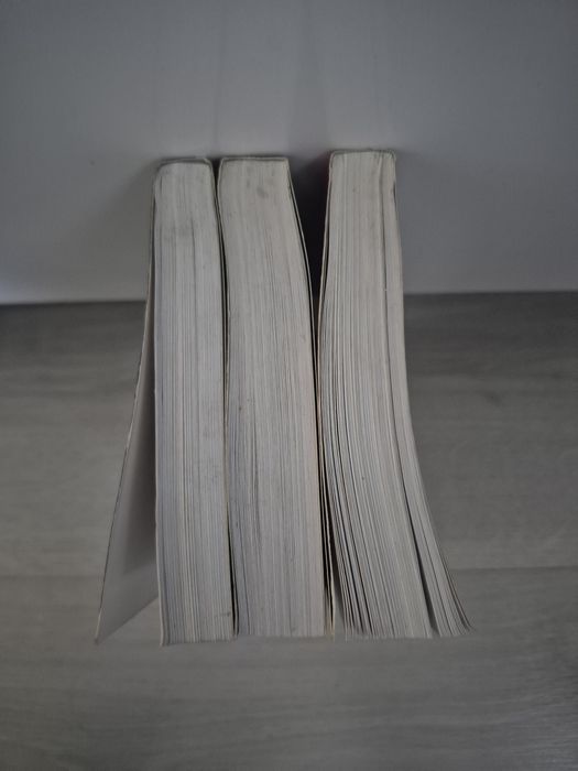 Set 3 cărţi loan Dan - Editura Lucman 2001 (Curierul secret, Cavalerii