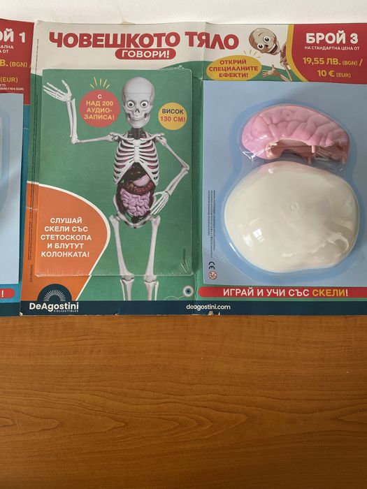 Човешкото тяло-поредца