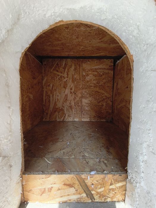 Cusca de caini izolat