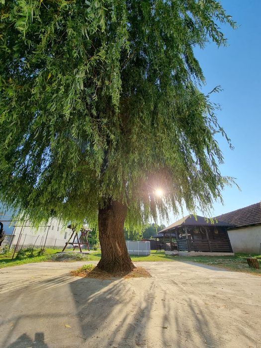 Cazare Pensiune Arcani Gorj / Liber Revelion / Liber Craciun