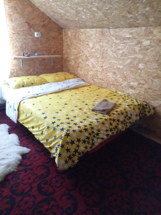 Cabana de inchiriat statiunea Muntele Baisorii