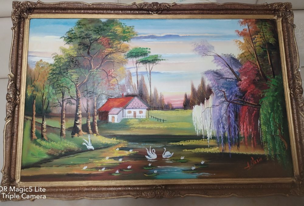 Tablou picat pe pânza ilustrând o imagine de amploare